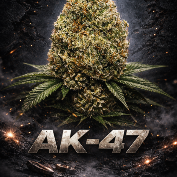 AKa 47