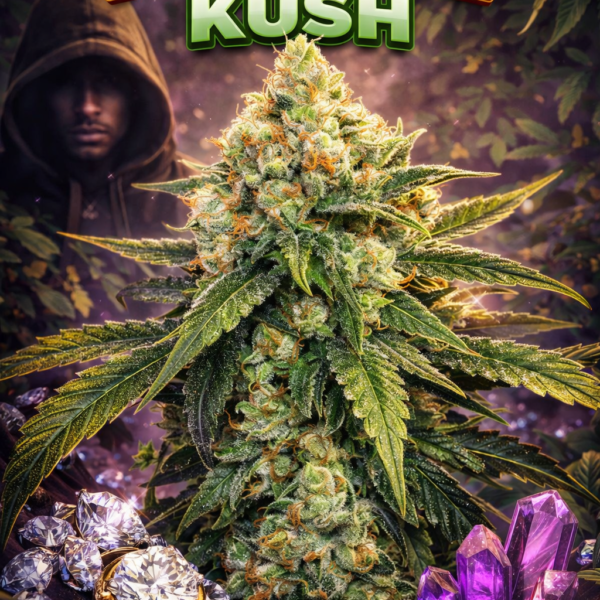 Nicole Kush wietzaden