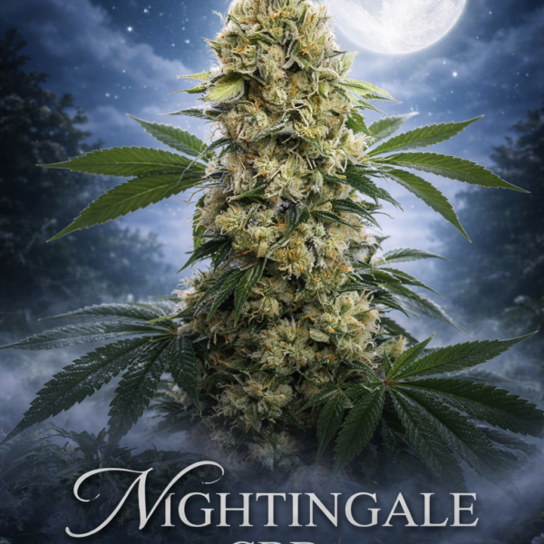 Nightingale CBD wietzaden