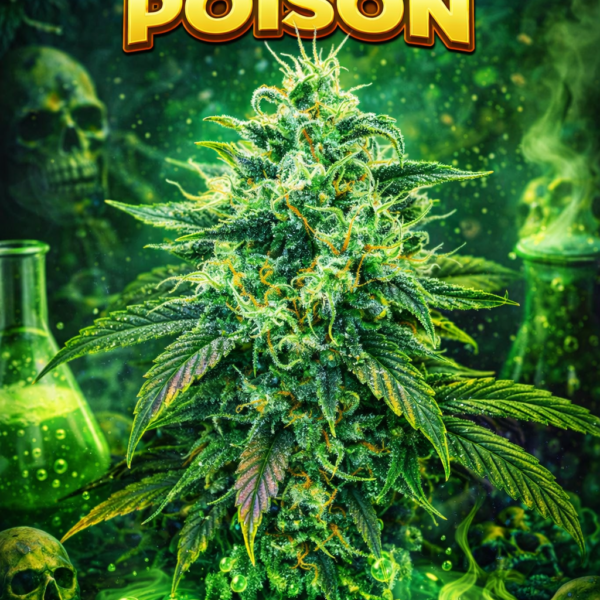 Green poison wietzaden
