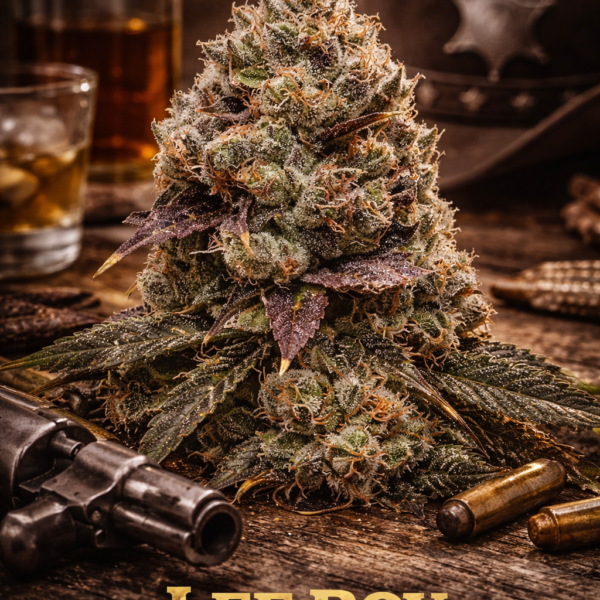 Lee roy autoflower