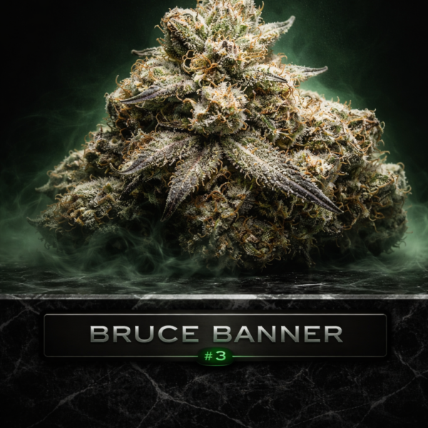 bruce banner  wietzaden
