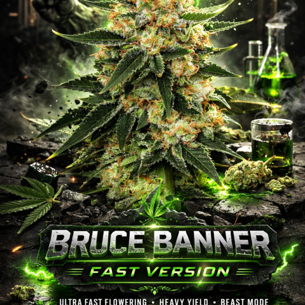 Bruce banner fast version  Wietzaden