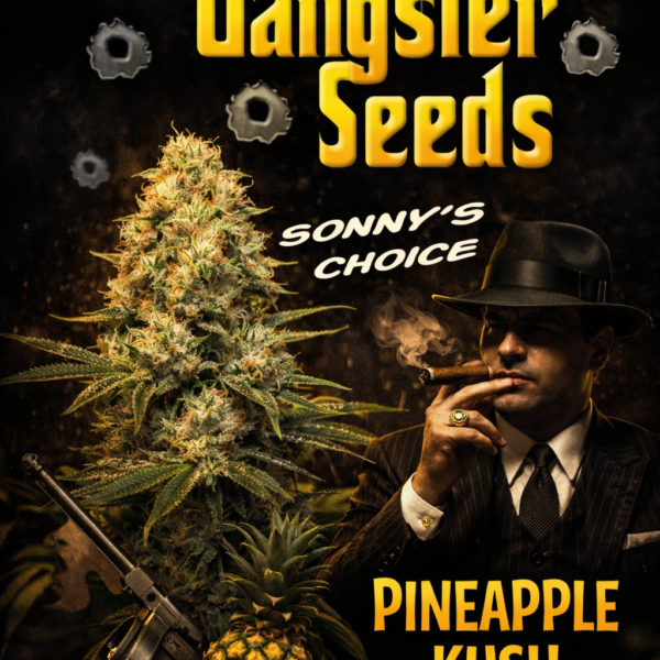 pineapple kush