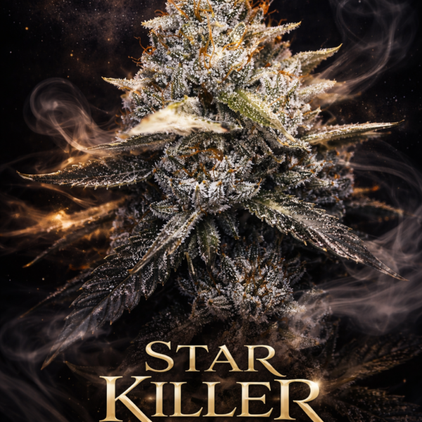star killer wietzaden