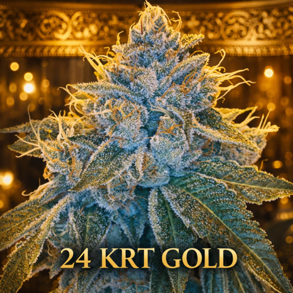 24 Krt Gold wietzaden