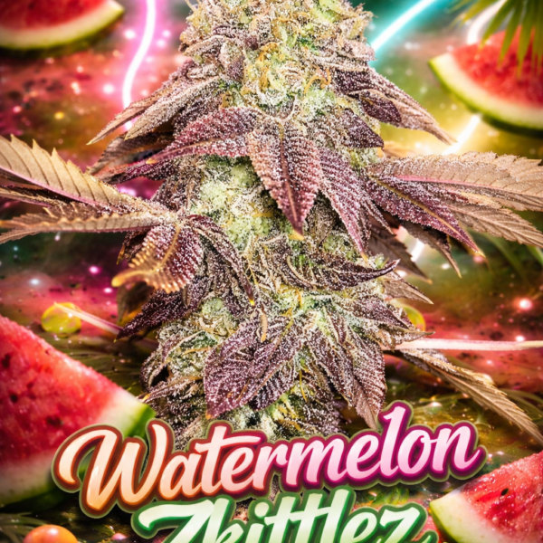 watermelon zkittlez wietzaden