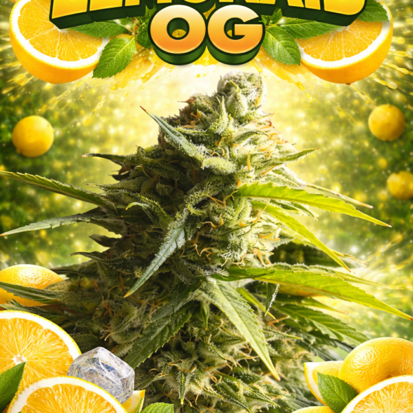 Lemonaid  OG