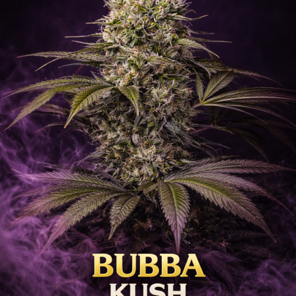 Bubba kush
