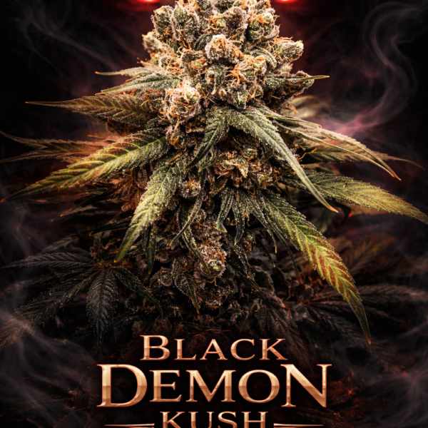 Black Demon Kush