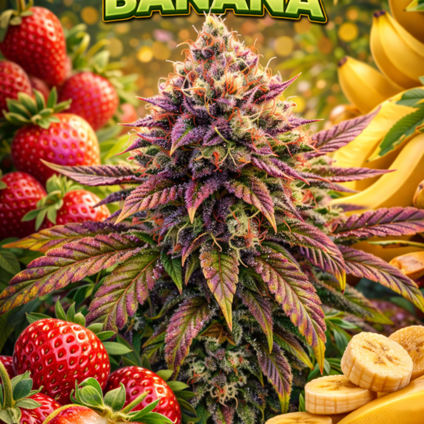 strawberry banana  wietzaden