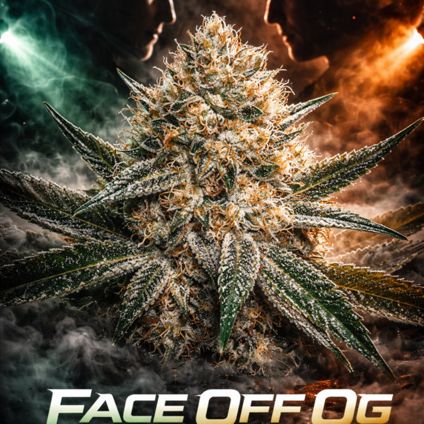 Face off OG