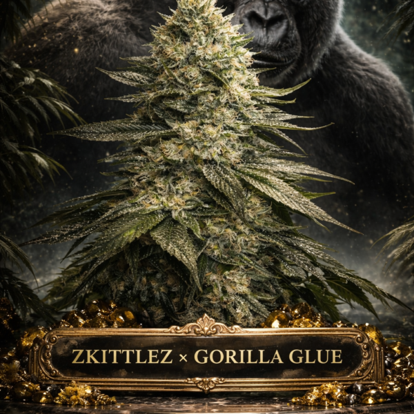 zkittlez x gorilla glue wietzaden