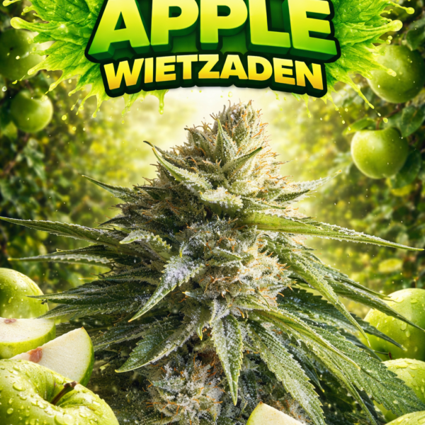 Sour Apple wietzaden