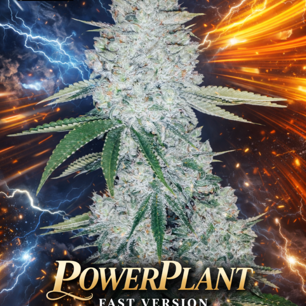Powerplant fast version Wietzaden