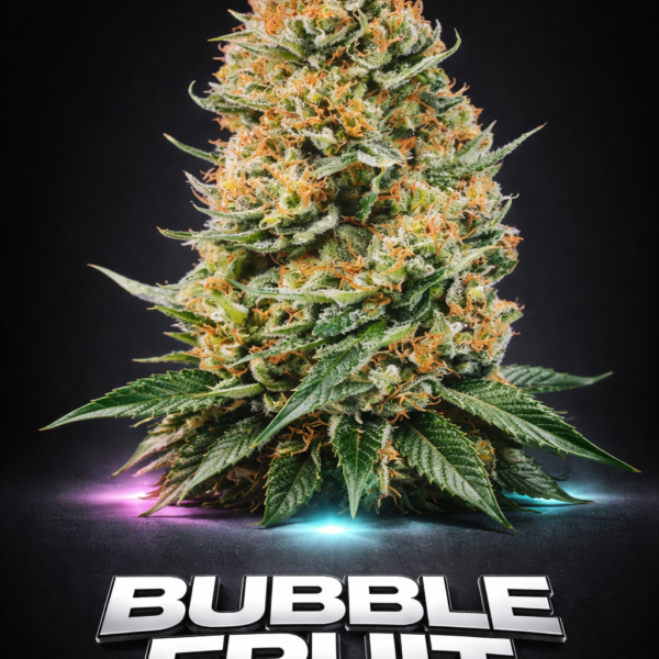 Bubble fruit wietzaden