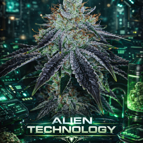 Alian technology wietzaden