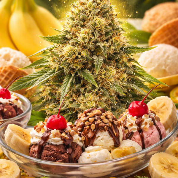 Banana split