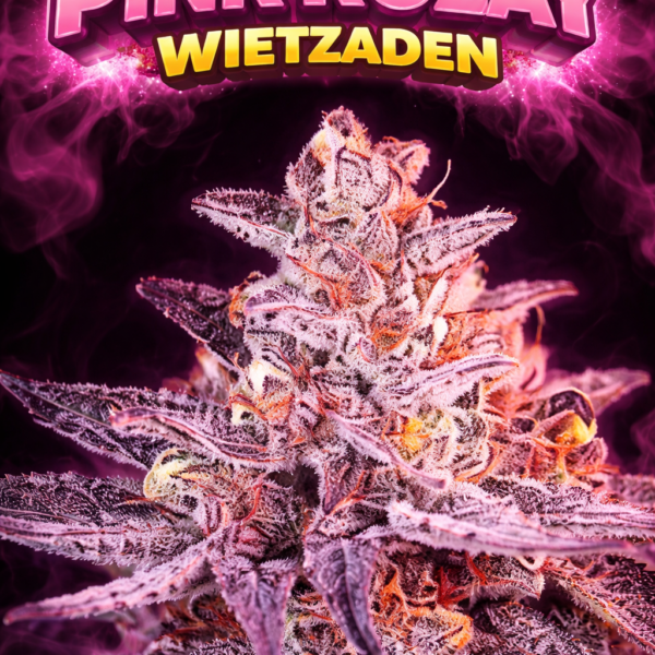 Pink Rozay wietzaden